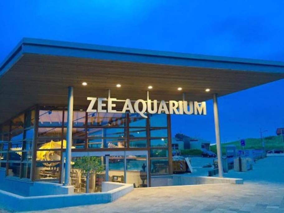 Wind - Modern Beach House Bergen aan Zee Ngoại thất bức ảnh